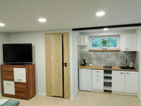 Apartament z ogrodem I